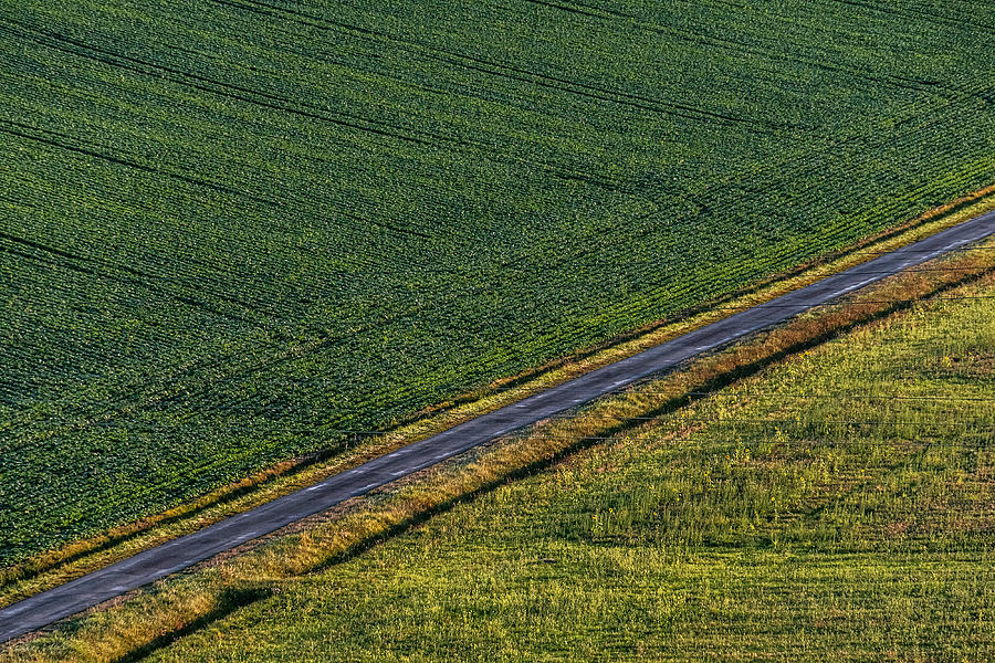 Nature Photograph - Road Through the Farmland - France by Stuart Litoff