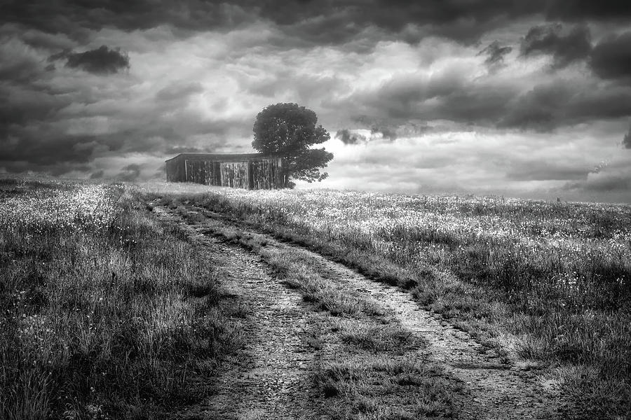 Road Through The Field Photograph by Bob Orsillo