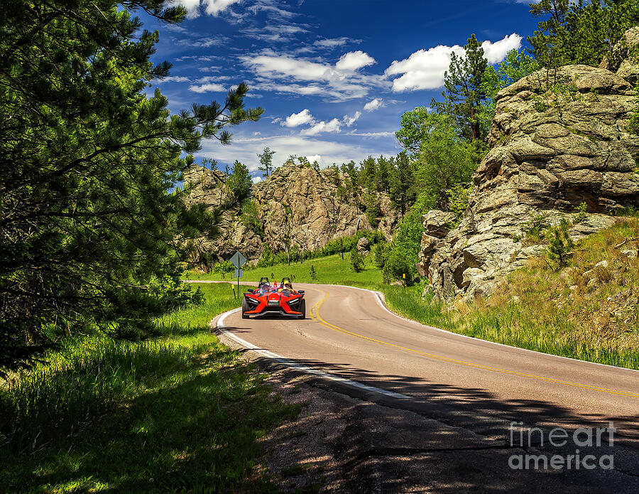 Road thru Custer State Park Photograph by Nick Zelinsky Jr Pixels