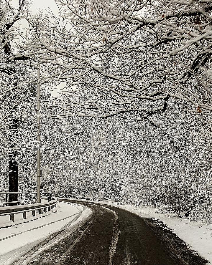 Landscape Photograph - Road thru Snowy Woods by Matthew Adelman