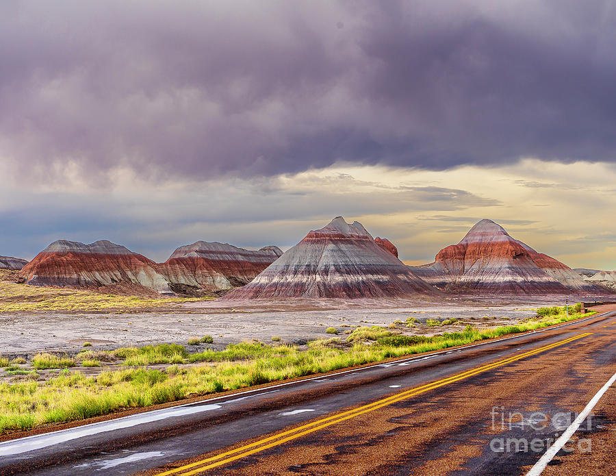 Road Thru the Painted Desert Photograph by Nick Zelinsky Jr