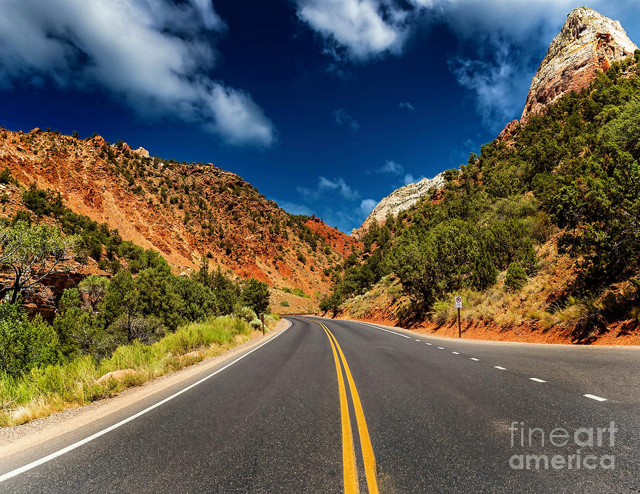 Road thru Zion National Park Photograph by Nick Zelinsky Jr
