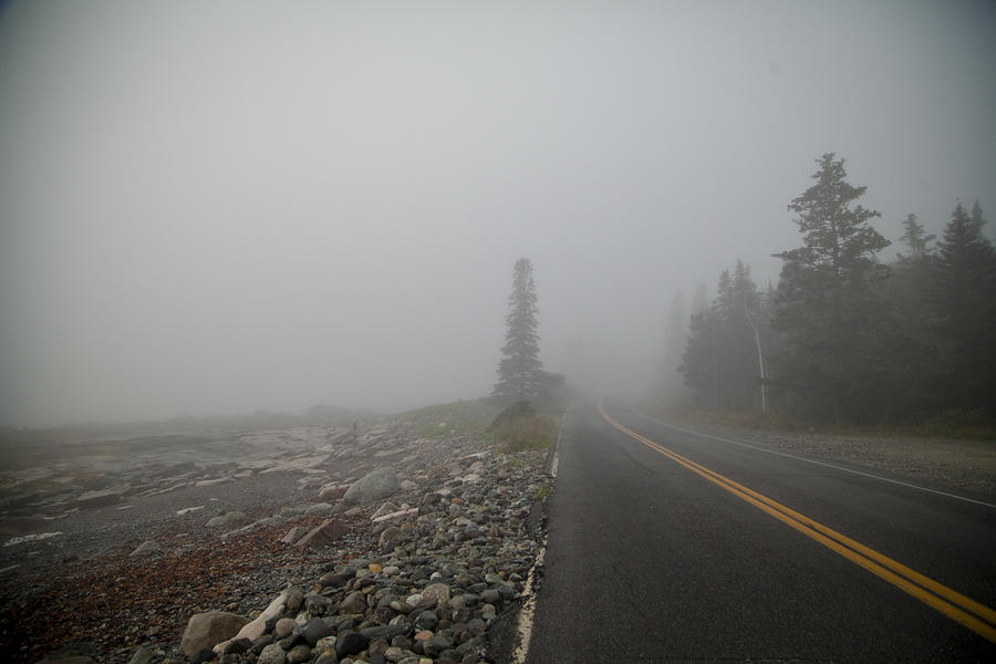Road to Acadia Photograph by Vanessa Lassin Photography