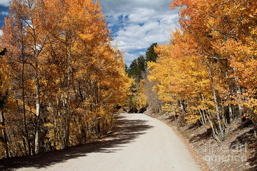 Road to Autumn. Photograph by Valentina Gatewood | Fine Art America