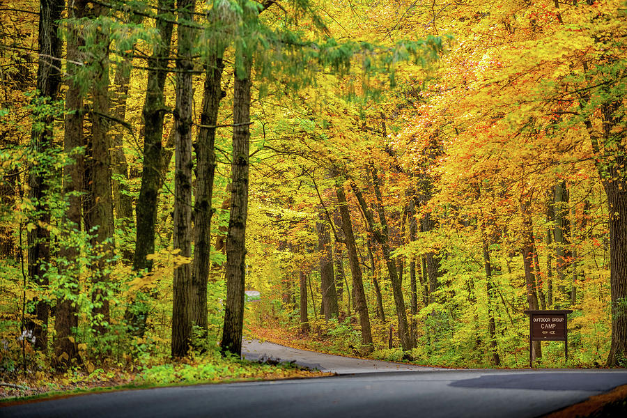Fall Photograph - Road to Fall Colors by Sebastian Musial