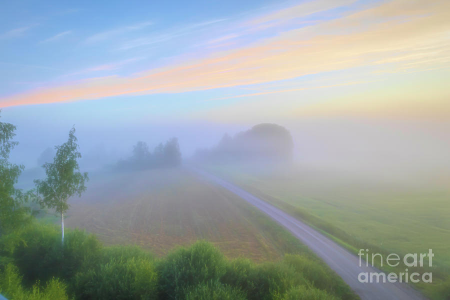 Road To Fog Photograph