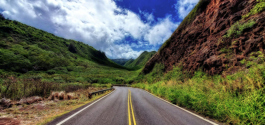Road to Hana by Eric Wiles Road to Hana by Eric Wiles