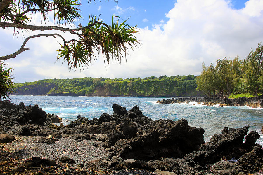 Road to Hana View Photograph by Randy Wehner