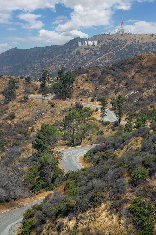 Road To Hollywood Photograph by Ricky Barnard