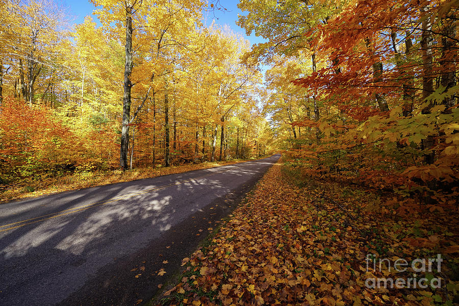 Road To Miners Castle Autumn Photograph