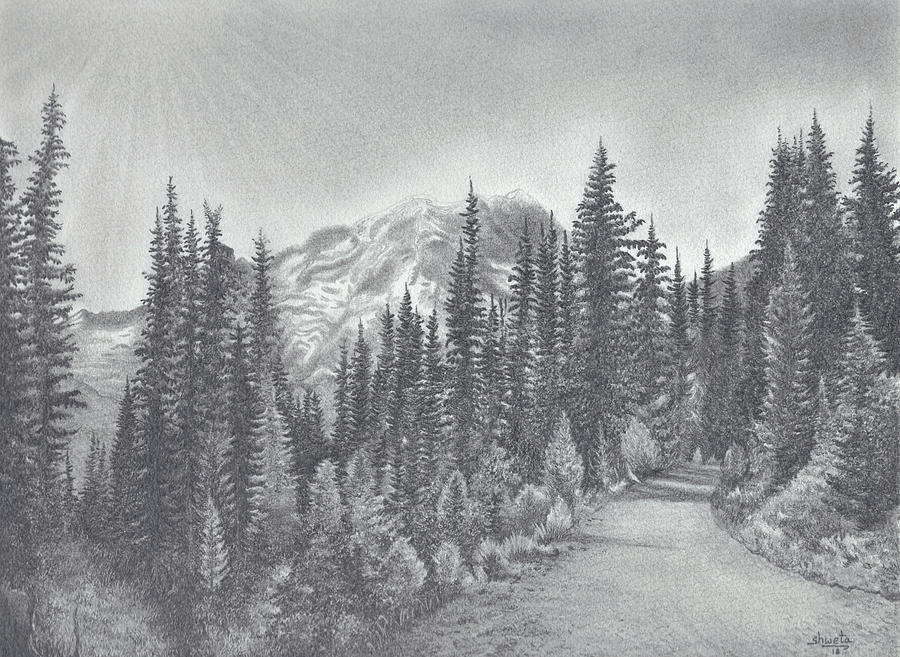 Road to Mount Rainier Drawing by Shweta Mahajan