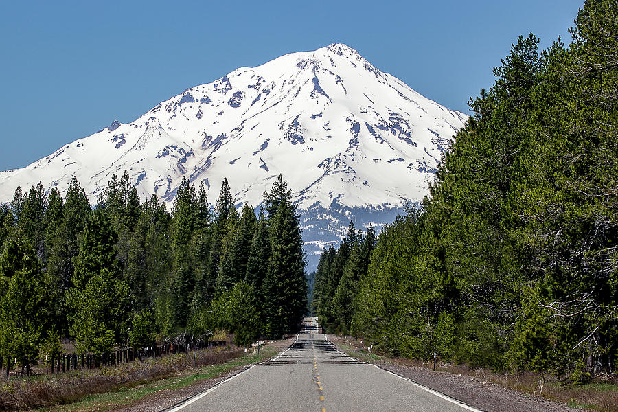 Road to Mt. Shasta Photograph by Gary Geddes