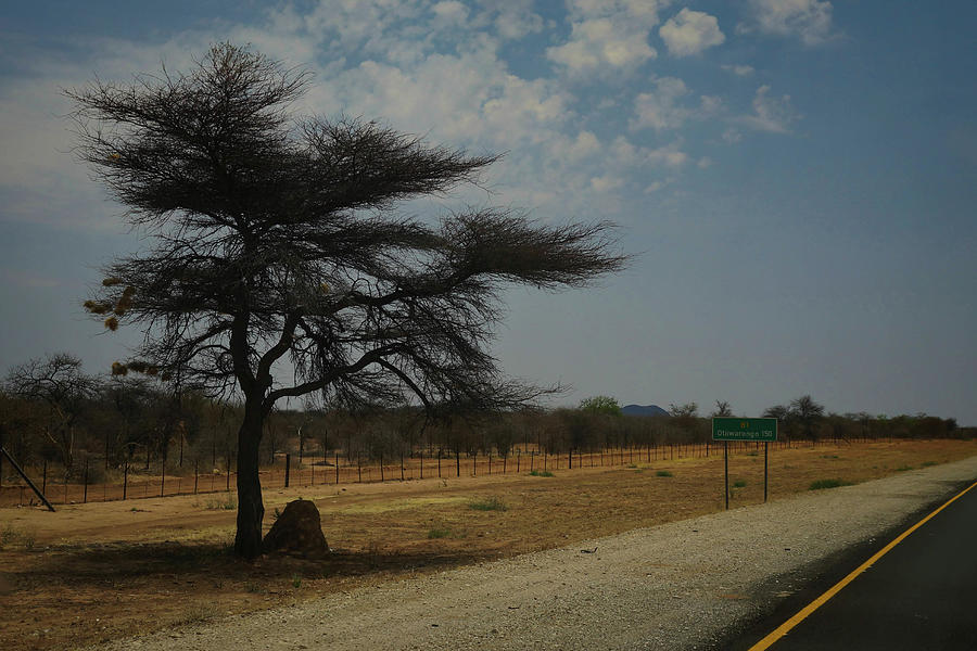 Road to Otjiwarongo Photograph by Ernest Echols