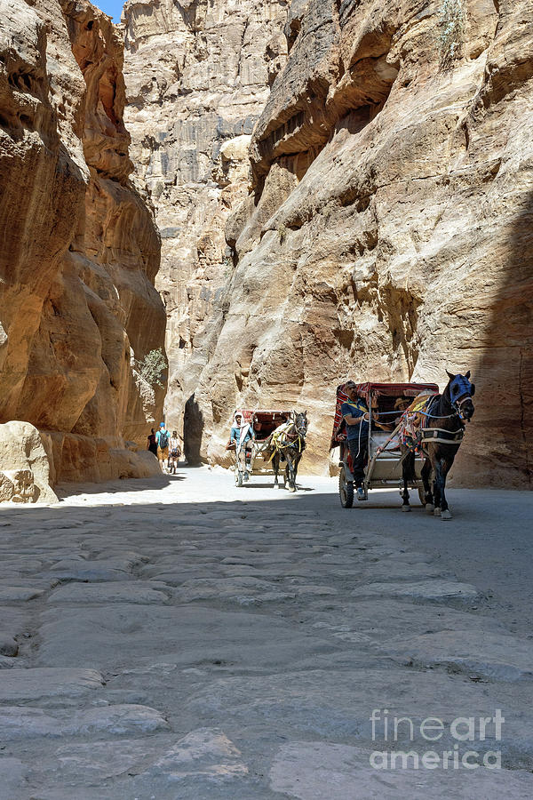 Road to Petra Photograph by Tom Watkins PVminer pixs