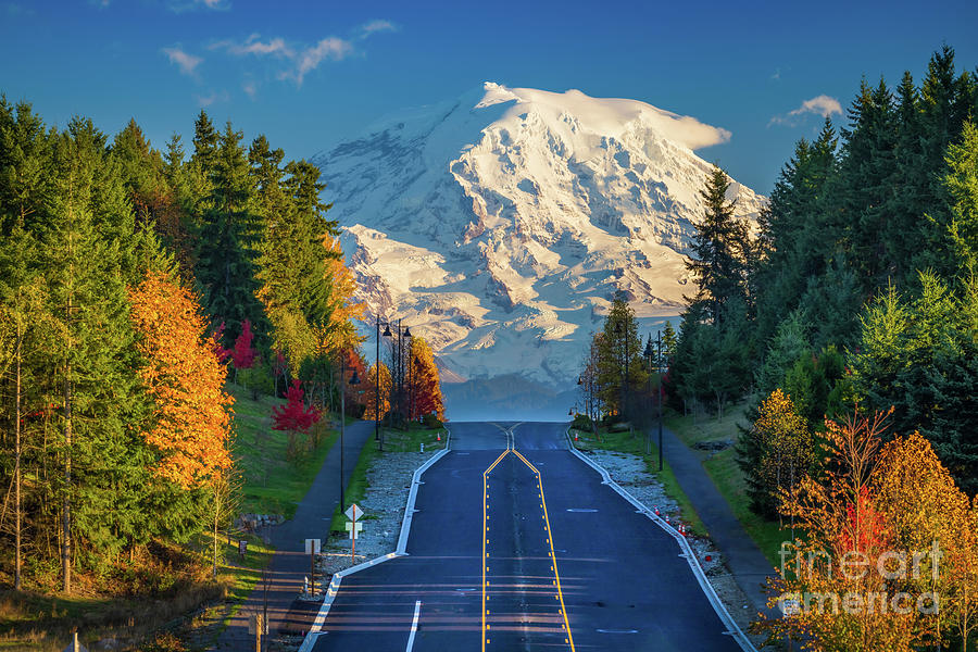 Road to Rainier Photograph by Inge Johnsson