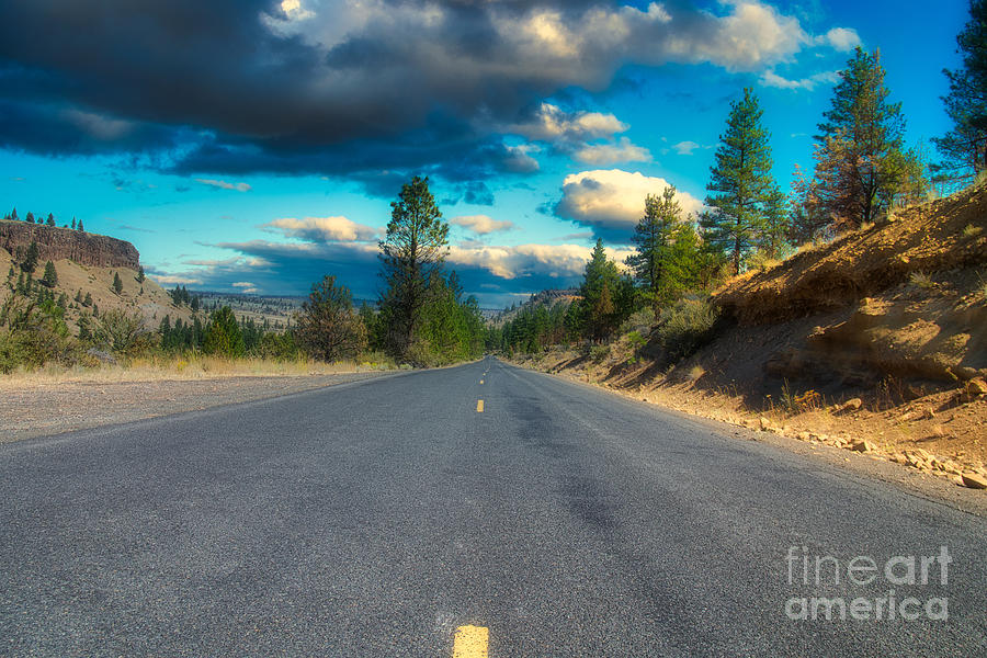 Road to the Cove by Stan Townsend Road to the Cove by Stan Townsend
