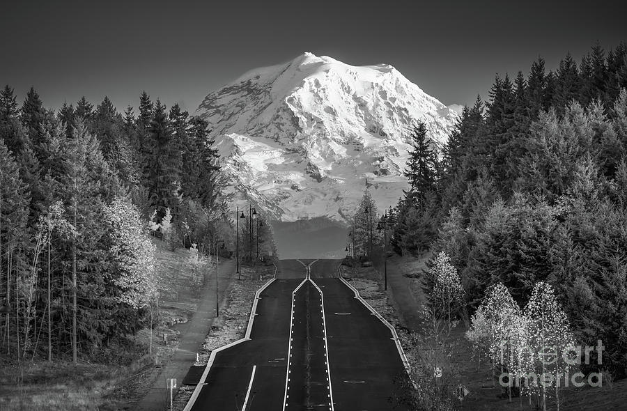 Road to the Mountain Monochrome Photograph by Inge Johnsson