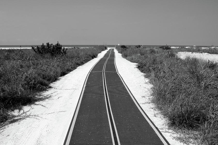 Road to the sea in black and white Photograph by Nadine Mot Mitchell ...