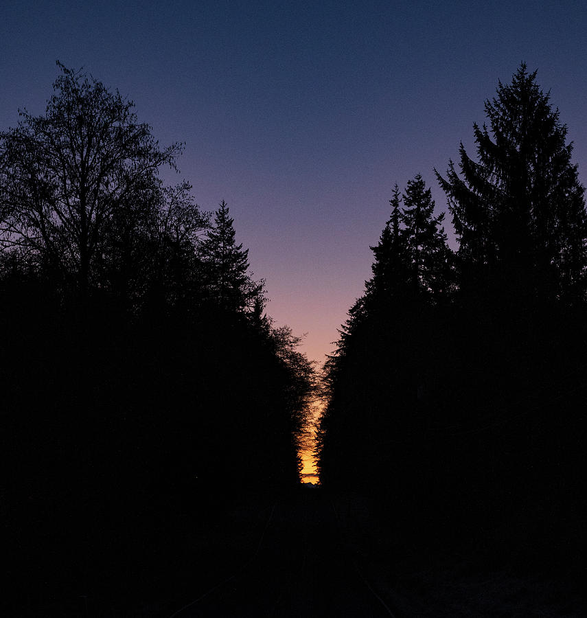 Road To The Sunrise Photograph