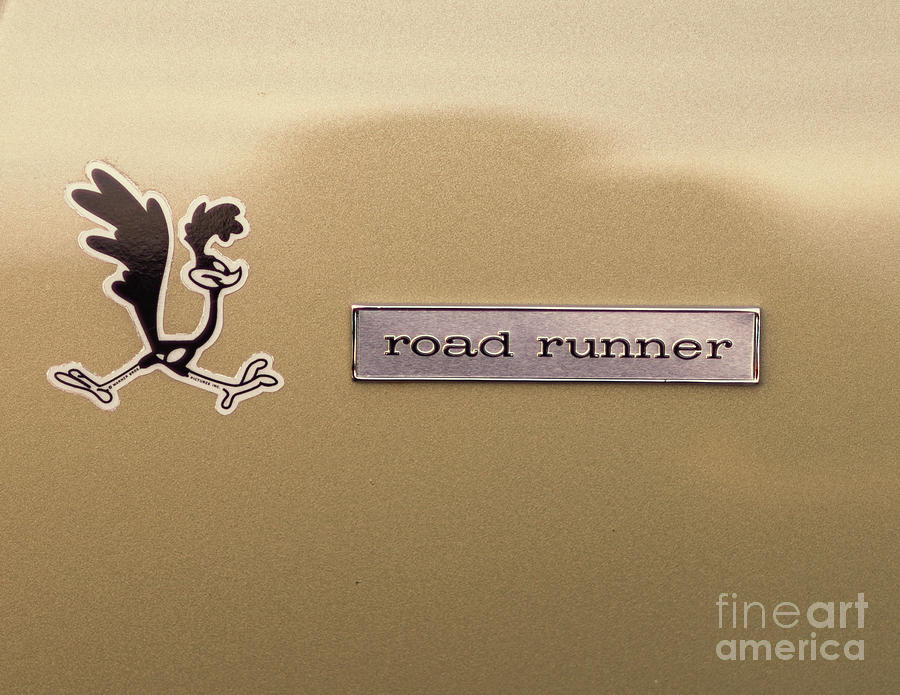 Roadrunner Digital Art by Jim Hatch