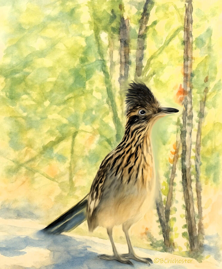 Greater Roadrunner Ocotillo Palo Verde Sunlit Morning Mixed Media by Barbara Chichester Greater Roadrunner Ocotillo Palo Verde Sunlit Morning Mixed Media by Barbara Chichester