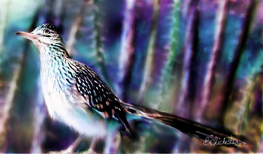 Roadrunners Dreamy Moonlight Magic Mixed Media by Barbara Chichester