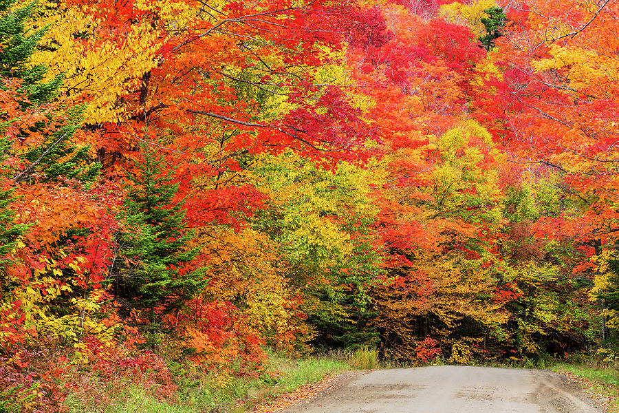 Roads End Fall Color Photograph