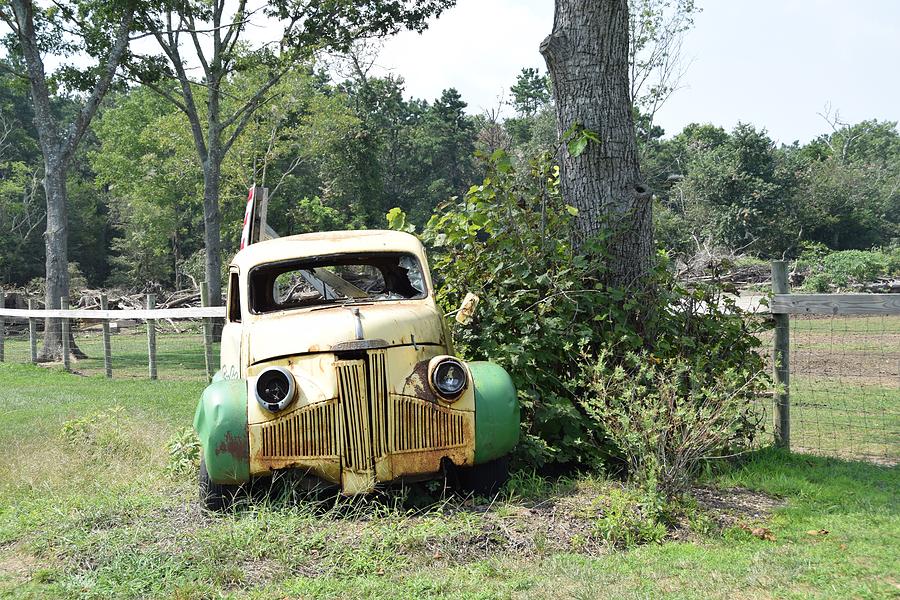 Roadside Americana Photograph by Eileen OConnor - Fine Art America