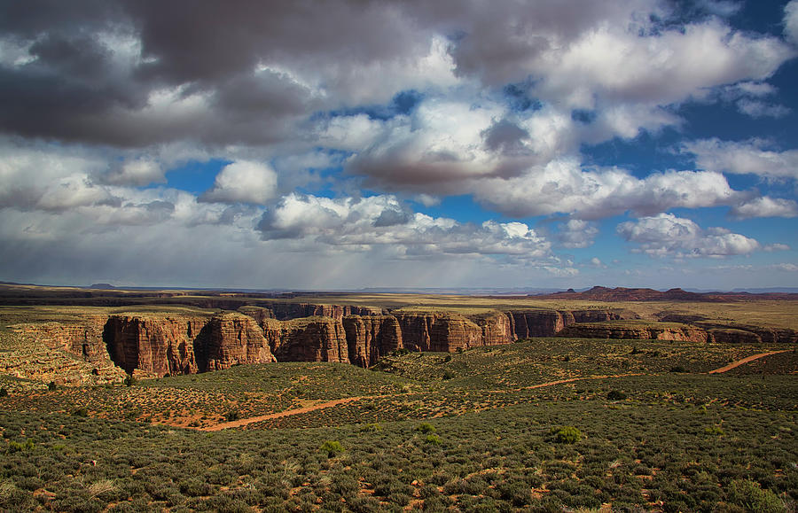 Roadside Arizona Landscape 2  Photograph by Jennifer Rondinelli Reilly
