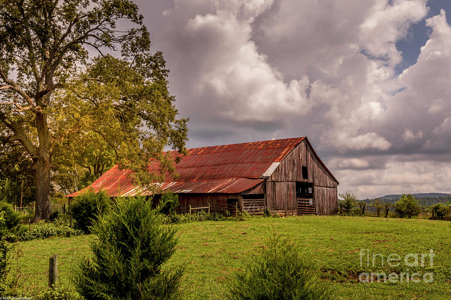Roadside Barn Photograph by Mitch Shindelbower
