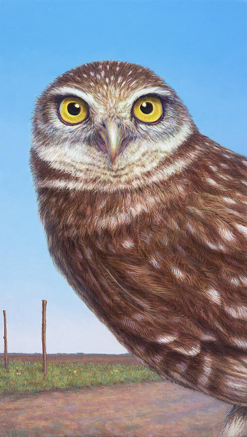 Roadside Burrowing Owl Painting by James W Johnson
