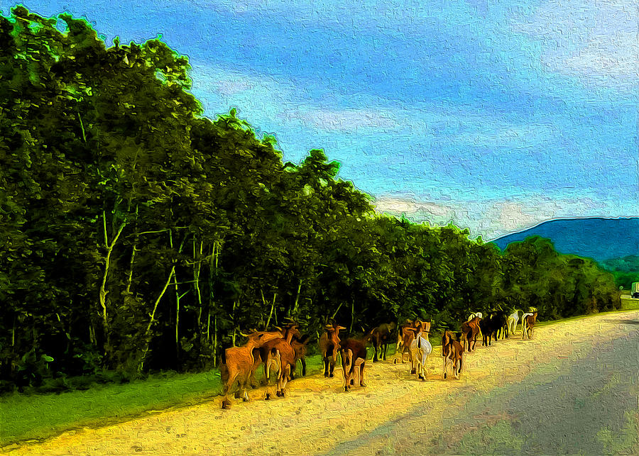 Roadside Happenings 4 Goats Digital Art by Aldane Wynter
