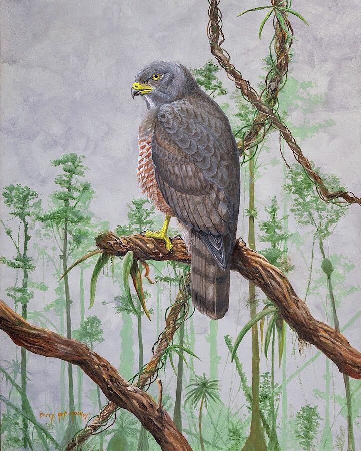 Roadside Hawk Painting by Barry Kent MacKay Roadside Hawk Painting by Barry Kent MacKay