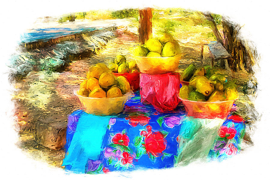 Roadside mangoes for sale, Mexico Mixed Media by Tatiana Travelways