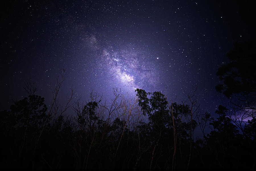 Roadside Milky Way  Photograph by Mark Andrew Thomas