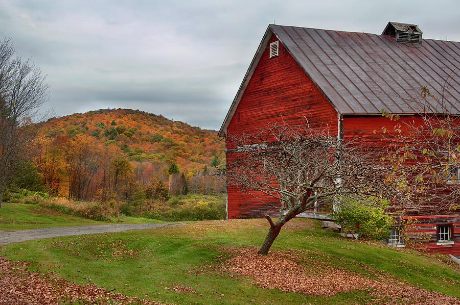 Roadside Red Barn - Vermont Photograph by Joann Vitali