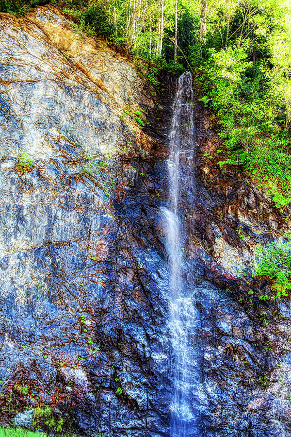Roadside waterfall, Cascades Mountains Photograph by Tatiana Travelways