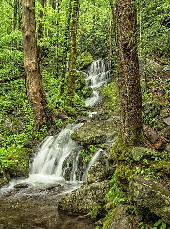 Roadside Waterfall in the Smoky Mountain National Park Photograph by Peter Ciro