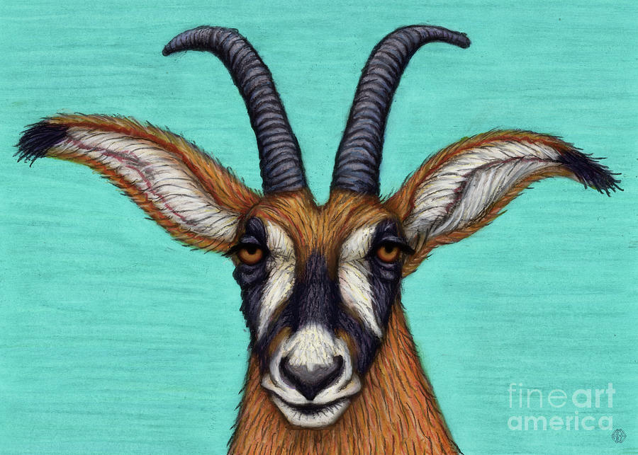 Roan Antelope  Painting by Amy E Fraser