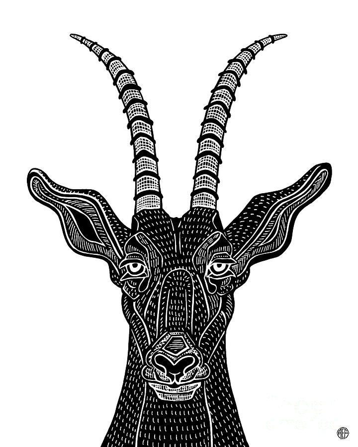 Roan Antelope. Wild Animal Ink 24  Drawing by Amy E Fraser