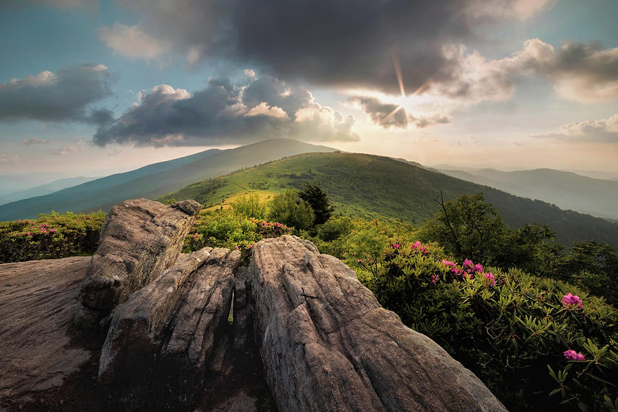 Roan Mountain, Janes Bald Rhododendron Sunset Photograph by Tommy White Photography