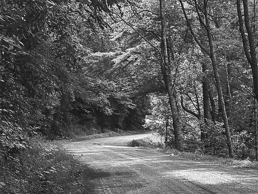 Roans Road BW Photograph by Lee Darnell