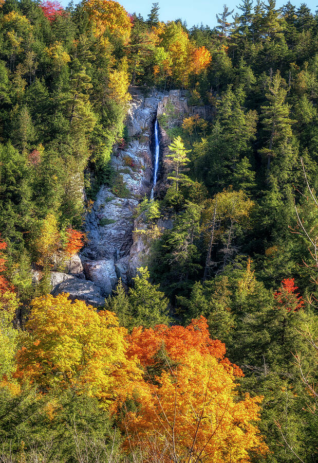 Tree Photograph - Roaring Brook Falls in the Adirondacks by Mark Papke