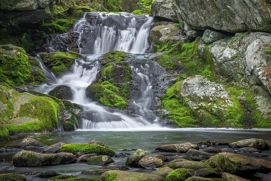 Spring Photograph - Roaring Falls Springtime by White Mountain Images