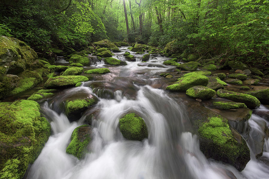 Mountain Photograph - Roaring Fork Great Smoky Mountains National Park Tennessee by Mark VanDyke