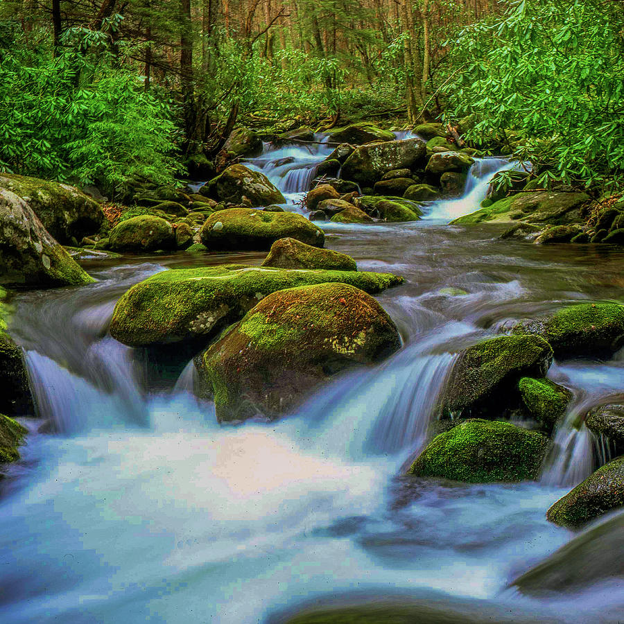 Roaring Fork Nature Trail of the Smokies 0056 Photograph by James C Richardson