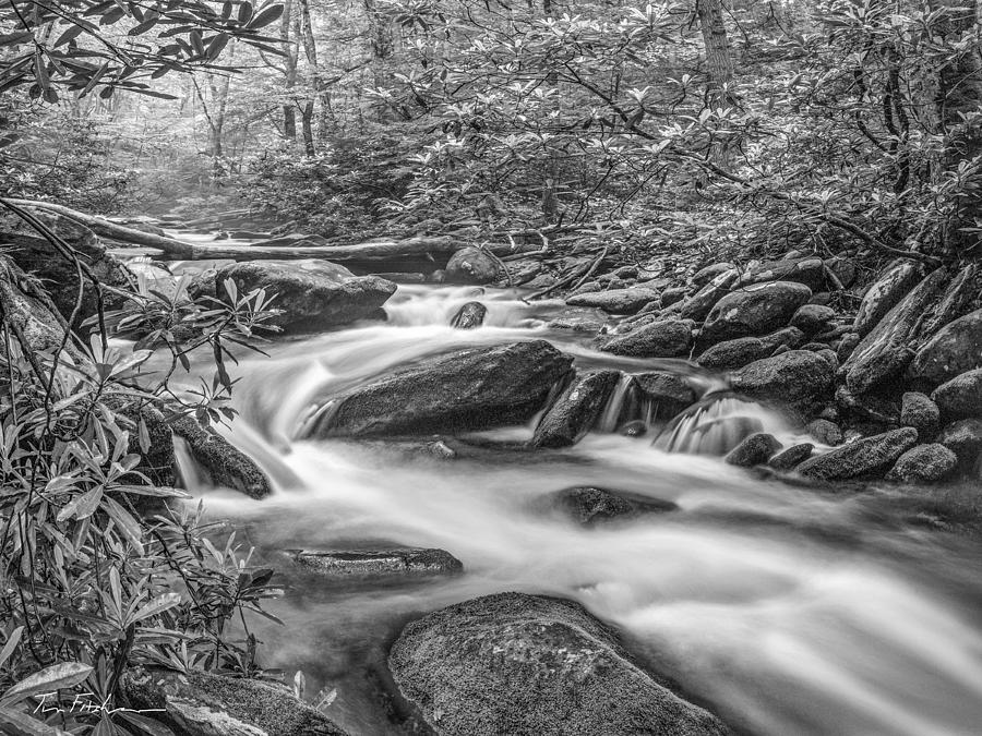 Roaring Fork River, Great Smoky Mountains Photograph by Tim Fitzharris