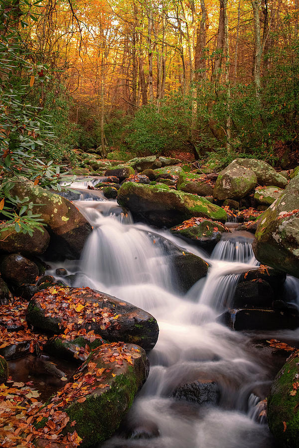 Fall Photograph - Roaring Fork Waterfall at Autumn by Andrew Soundarajan
