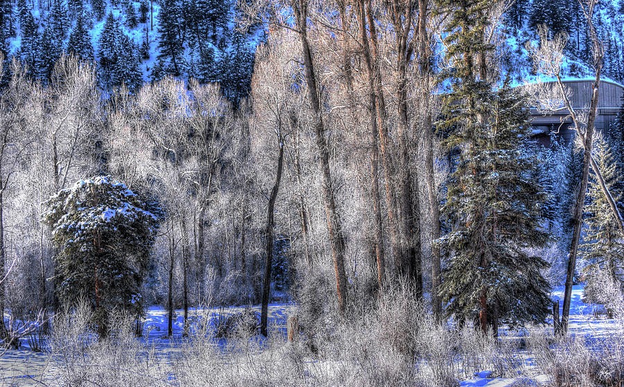 Roaring Forks Frost Photograph by Wayne King