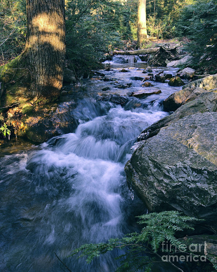 Roaring Mountain Stream Photograph by Dale Kohler - Fine Art America